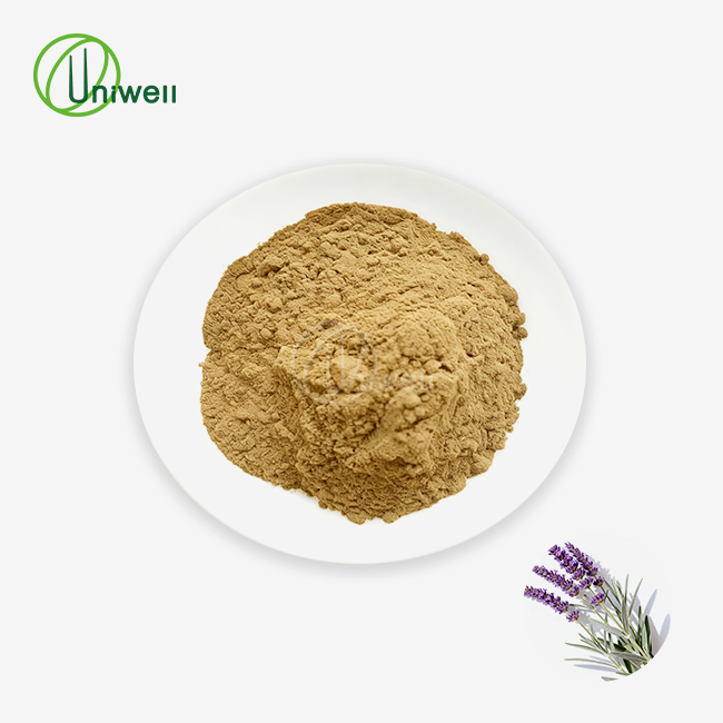 Sage Extract Powder